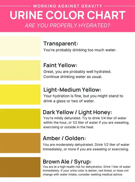 urine hydration color chart infographic