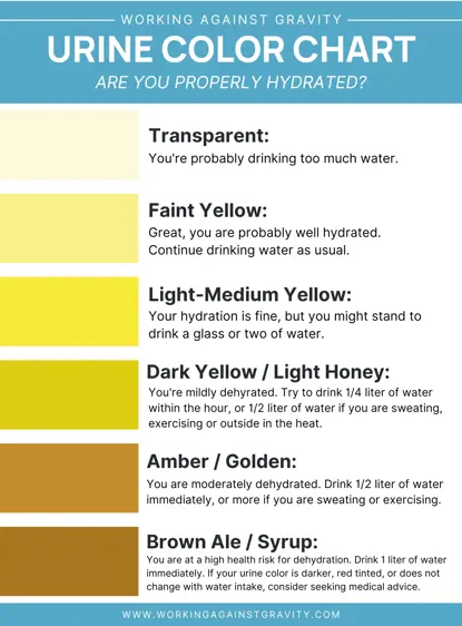 urine color chart