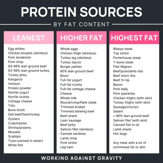 protein sources by fat content - working against gravity nutrition