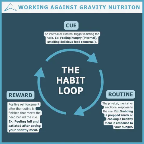 habit loop