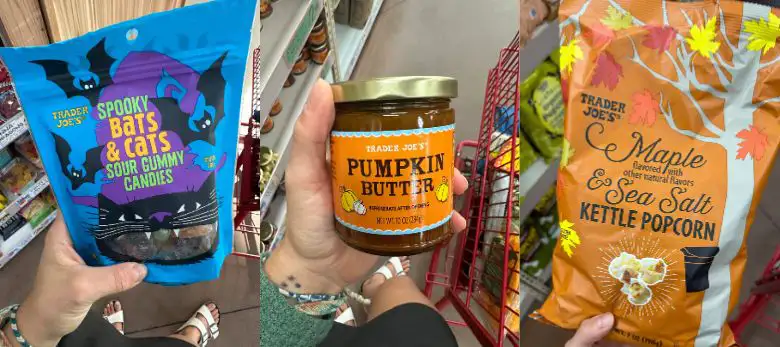 trader joes fall treats 2024